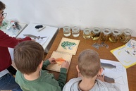 Zväčšiť fotografiu - Múzeum sa ponorilo do vodných tajomstiev