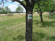 Zväčšiť fotografiu - KST_Značenie 2020_TSK (10)