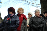 Na trenčianskom cintoríne dnes rozkvitli červené maky - IMG_8526