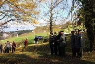 Na trenčianskom cintoríne dnes rozkvitli červené maky - IMG_8578