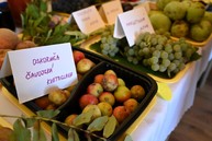 Zväčšiť fotografiu - Naprieč krajom za zaujímavými podujatiami