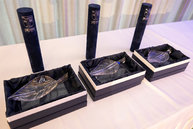 Zväčšiť fotografiu - Ocenili sme tých, ktorí sa nesnažia byť slávnymi, ale hodnotnými