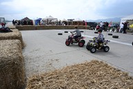 Zväčšiť fotografiu - Odštartoval jubilejný 30. ročník obľúbeného veľtrhu záhradkár