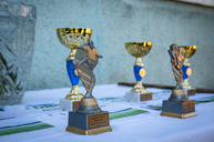Zväčšiť fotografiu - Ostrieľaných hráčov vystriedala na ihrisku prípravka - TSK_Memoriál_Dohňany_mini-19