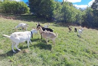 Zväčšiť fotografiu - Pedagógovia a odborníci z kraja sa vzdelávali v oblasti environmentálnej výchovy a duševného zdravia