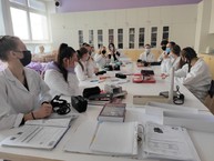 Zväčšiť fotografiu - Považskobystrická stredná zdravotnícka škola medzi najlepšími - IMG_20210212_7