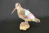 Preparáty vlastivedného múzea v považskej bystrici opäť v plnej kráse - IMG_4060