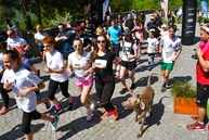 Zväčšiť fotografiu - Príď si zabehať a pomôžeš dobrej veci - Foto-622