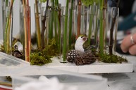 Zväčšiť fotografiu - Príval veľkonočnej nálady zo župnej školy v pruskom