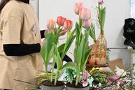 Zväčšiť fotografiu - Príval veľkonočnej nálady zo župnej školy v pruskom