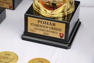 Zväčšiť fotografiu - Siedma olympiáda seniorov opäť spojila športovcov z považskobystrického okresu - IMG_2901