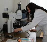 Slovenskej vede sa darí aj vďaka trenčianskej univerzite - 01