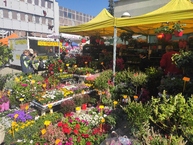 Zväčšiť fotografiu - Správny záhradkár musí byť šikovný a mať dobré srdce! - IMG_20220421_103212
