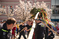 Zväčšiť fotografiu - Svetová cyklistika aj storočné tradície na jednom mieste - TSK_pretek kurierov_maj_mini-34