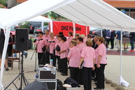 Tradičné jedlá, oslavy folklórnej skupiny či otvorenie nového multifunkčného ihriska. aj taký bol víkend v trenčianskej župe. 