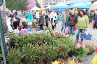 Trenčianske výstavisko sa opäť premenilo na raj všetkých záhradkárov, včelárov a poľovníkov - IMG_0096