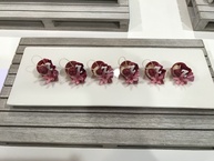 V slovenskom národnom tíme sa na svetovom kulinárskom pohári v luxembursku predstavili aj zástupcovia soš obchodu a služieb v púchove - Cukrar_12