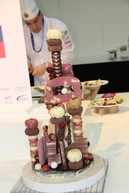 V slovenskom národnom tíme sa na svetovom kulinárskom pohári v luxembursku predstavili aj zástupcovia soš obchodu a služieb v púchove - Cukrar_29