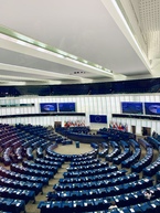 Zväčšiť fotografiu - Vďaka projektu tsk a úsv ros navštívila gymnazistka európsky parlament v štrasburgu - fotka