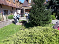 Zväčšiť fotografiu - Vďaka zeleným očiam skrášlili kraj ďalšie enviroprojekty - 7_3 echinacea