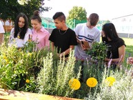 Zväčšiť fotografiu - Vďaka zeleným očiam skrášlili kraj ďalšie enviroprojekty - sos pe 5