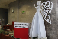 Vianočné srdce zelenej župy pokračuje zbierkou pre šimonka - IMG_0404
