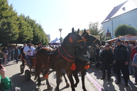 Víkend v kraji odštartoval mňamfest, gurmánske špeciality sa servírovali aj v ďalších obciach - IMG_0023