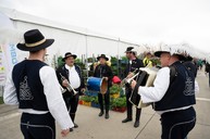 Zväčšiť fotografiu - Vítanie jari po trenčiansky