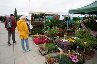 Zväčšiť fotografiu - Vítanie jari po trenčiansky