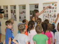 Vlastivedné múzeum v považskej bystrici sprístupnilo výstavu s názvom jedy v prírode - P7030323