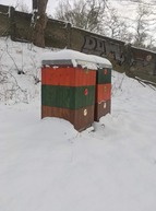 Zväčšiť fotografiu - Základy včelárstva aj ako predmet na župnej škole - 122263208_657202024965076_5568158244211080041_n