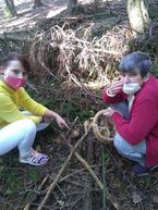 Zväčšiť fotografiu - Zber hríbov učaril aj klientom považskobystrického centra sociálnych služieb - 119037233_754314498464621_8355494081133437123_n