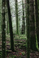 Zväčšiť fotografiu - Zhasnutím pamiatok si aj tento rok pripomenieme hodinu zeme - arnaud-steckle-47Wkhmejcy0-unsplash