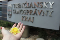 Žlté kvietky opäť po roku rozkvitnú aj na úrade trenčianskeho samosprávneho kraja, pomôcť môžete aj vy - IMG_0564