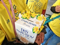 Zväčšiť fotografiu - Župní zamestnanci sa zapojili do zbierky v rámci dňa narcisov - 20240418_085935