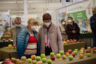 Zväčšiť fotografiu - Najlepšie jabĺčka rastú aj v trenčianskom kraji - TSK_Jeseň v záhrade_otvorenie-9