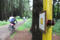 Cyklistov a turistov bude tento rok navigovať viac ako 400 km obnoveného cyklo-turistického značenia - PO_ZLTEJ_NA_LOPENIK