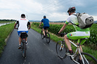 Zväčšiť fotografiu - Medzi novým mestom nad váhom a trenčínom je hotových už 12 km novej cyklotrasy - 20200724_cyklotrasa_TN_NM_057w