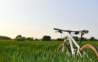 Piaty ročník populárnej súťaže do práce na bicykli absolvujú opäť aj zamestnanci trenčianskej župy, a to historicky s najväčším počtom tímov - stefan-rayner-98149