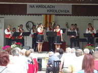 25. festival dychových hudieb ostratice - 9_resize