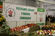 Areál výstaviska expo center dnes a zajtra ovládne zdravý životný štýl - IMG_7812