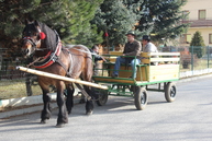 Fašiangy v trenčianskej turnej boli bohaté: na zabíjačkové špeciality bolo použitých až 400kg mäsa - IMG_9902