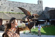 Zväčšiť fotografiu - 