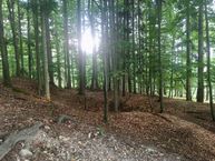 Zväčšiť fotografiu - Historický banský nález v tužine - IMG_9767