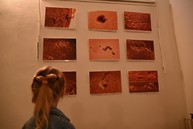 Zväčšiť fotografiu - Jedinečný týždenný sprievodca oblohou v trenčianskom kraji