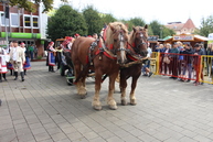 Jubilejný desiaty farmársky festival mňamfest opäť podporí aj trenčianska župa - IMG_0550