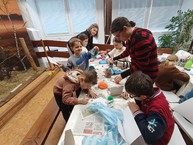 Zväčšiť fotografiu - 