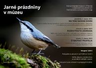 Zväčšiť fotografiu - Kultúrne inštitúcie ponúkajú zaujímavý program nielen pre prázdninujúcich školákov - Hornonitrianske múzeum