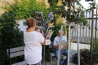 Zväčšiť fotografiu - Letná čitáreň ponúkne svoje služby už po 9.-krát - image__33_v3752