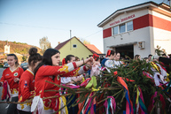 Zväčšiť fotografiu - Mestá a obce v kraji hýria farbami - TSK_pretek kurierov_maj_mini-83